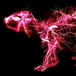 四虎4hu永久免费
