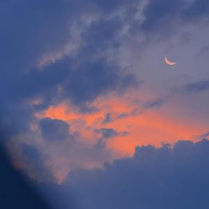 四虎4hu永久免费
