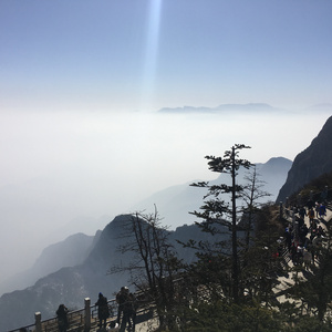 四虎4hu永久免费
